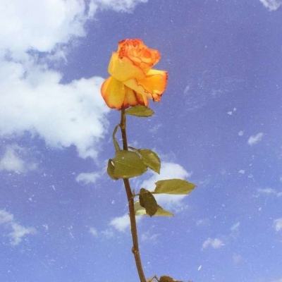 烈焰重生bt版下载