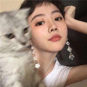 决战箱子镇游戏